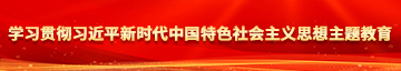 欧洲动漫同人扣逼自慰学习贯彻习近平新时代中国特色社会主义思想主题教育